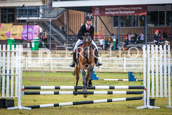 DSCF5183