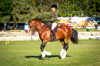 DSCF6132