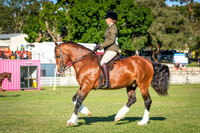 DSCF6138