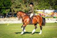 DSCF6133