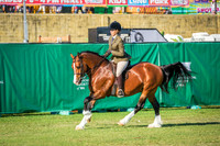 DSCF6141