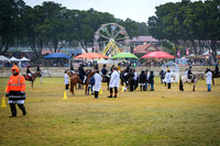 DSCF5649