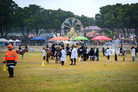 DSCF5651