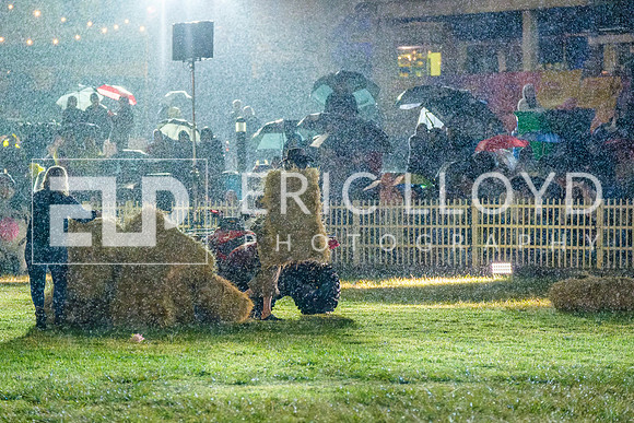 DSCF6897