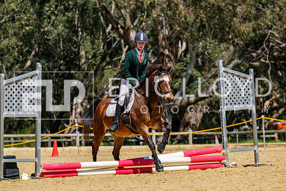 DSCF8005