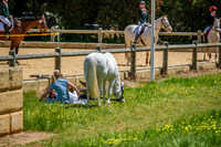 DSCF8549
