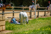 DSCF8546