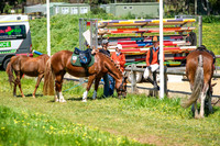 DSCF8870