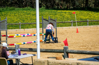 DSCF8875