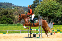 Acton Belle Property Pony Club Festival October 2025