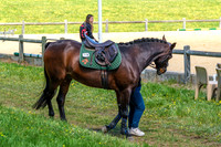 DSCF8959