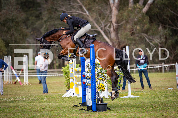 IMGP3026