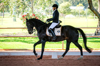 Competitor Advanced 5.1