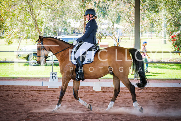 DSCF0928