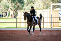 Competitor Medium 4.2