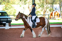 DSCF2748