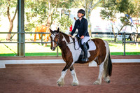 DSCF2773