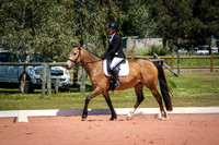 DSCF0763
