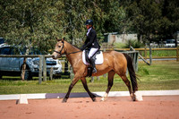 DSCF0764