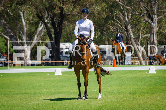 IMGP2542