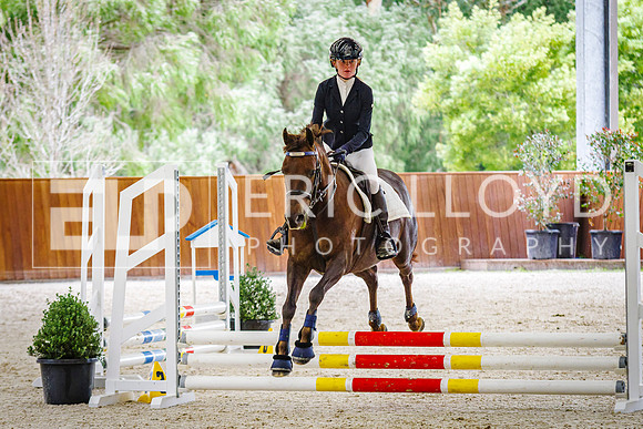 IMGP0605