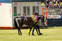 IMGP0155