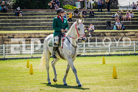IMGP0174