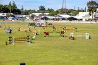 IMGP0481