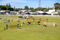 IMGP0482