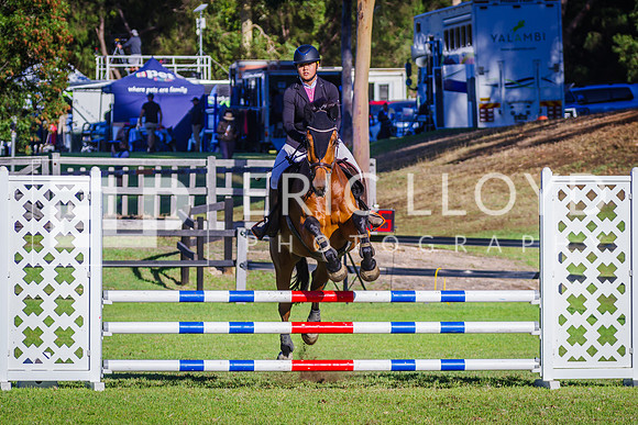 IMGP1281