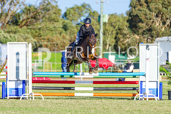 IMGP8585