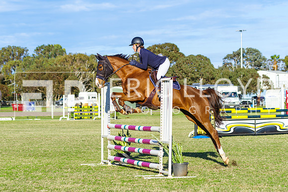IMGP8567