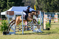 10a. Equine World Pony Grand Prix (14.2hh and under, rider under 16yrs) 75cm