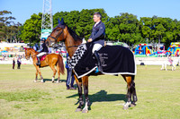 701  Grand Prix of WA for Part1 & 2 Horses Table A