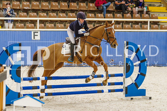 IMGP1558