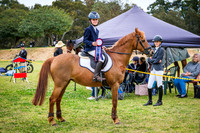 DSCF2001