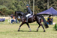 DSCF1308