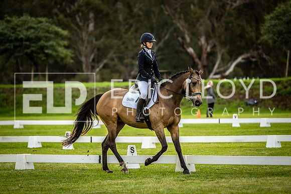 ROYL4548