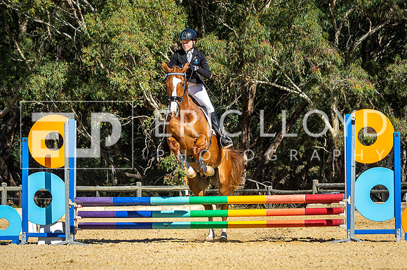 IMGP5624