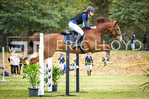 DSCF2253