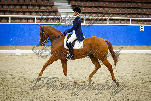 IMGP2177