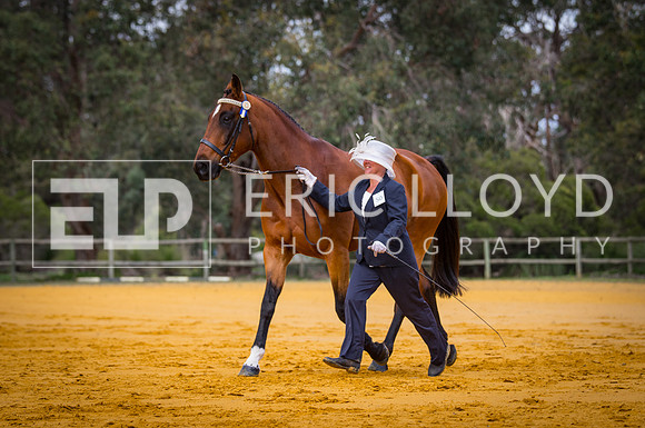 untitled-0880-2