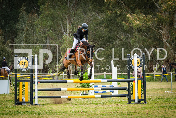DSCF3575