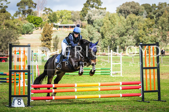 DSCF8924