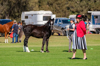 DSCF1077