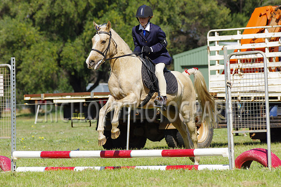 Bev Ag 2014-5155