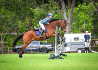 DSCF8255