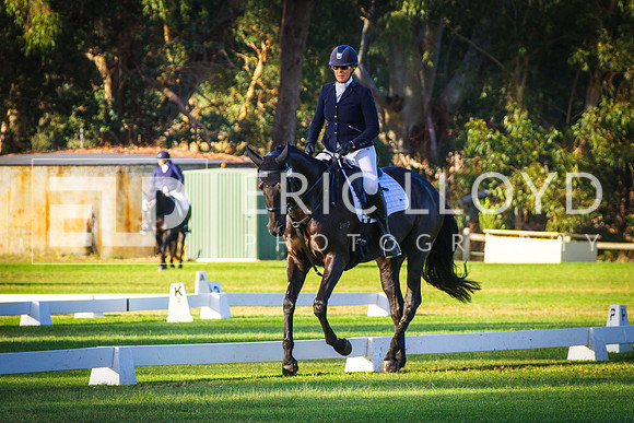 IMGP3516