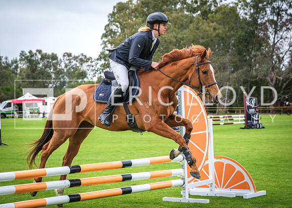 DSCF8486