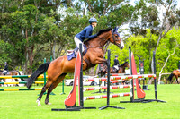 DSCF9072